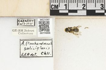 Media type: image;   Entomology 774006 Aspect: Labels